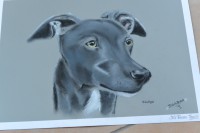 /album/galerie-photos/photo-2308-jpg/